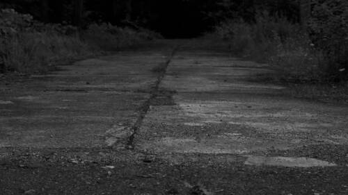 Heilstaetten Grabowsee 2023 Fotowalk